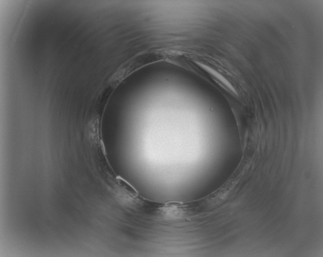 X0000075880425200609291645