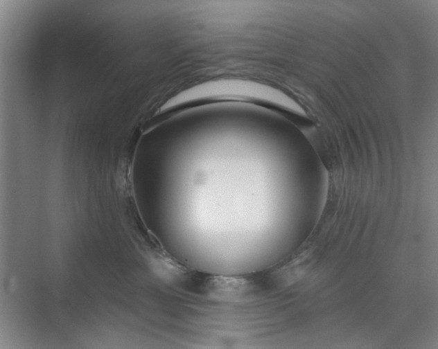 X0000075880429200609291645