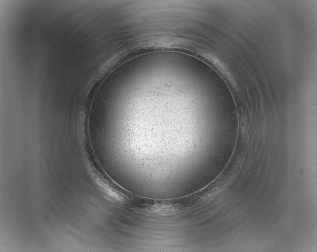 X0000075880445200609291644