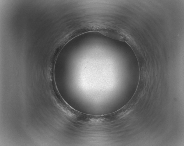 X0000075880450200609291644
