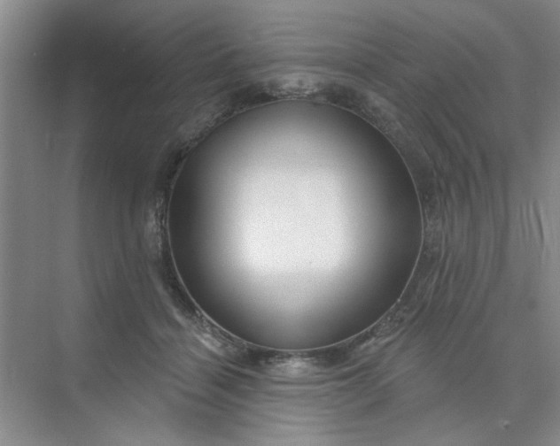 X0000075880460200609291644