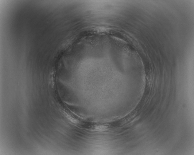 X0000075880462200609291644