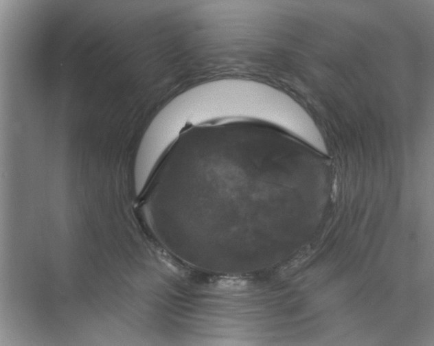X0000075880471200609291644