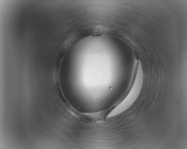 X0000075880474200609291644
