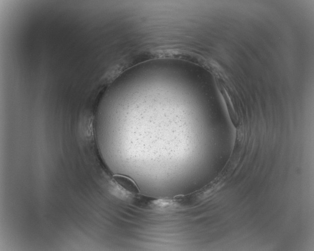 X0000075880477200609291644