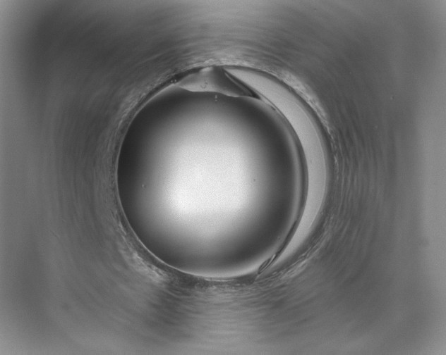 X0000075880481200609291644