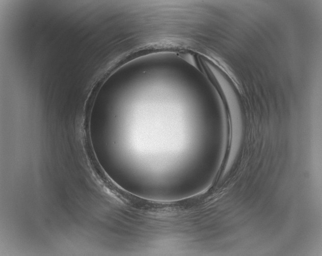 X0000075880485200609291644
