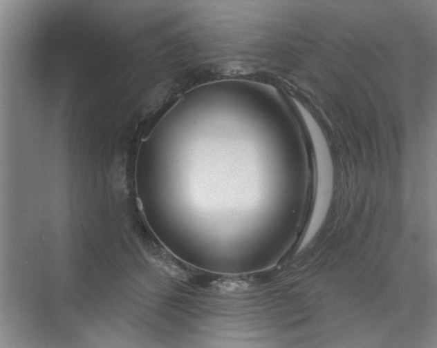 X0000075880512200609291643