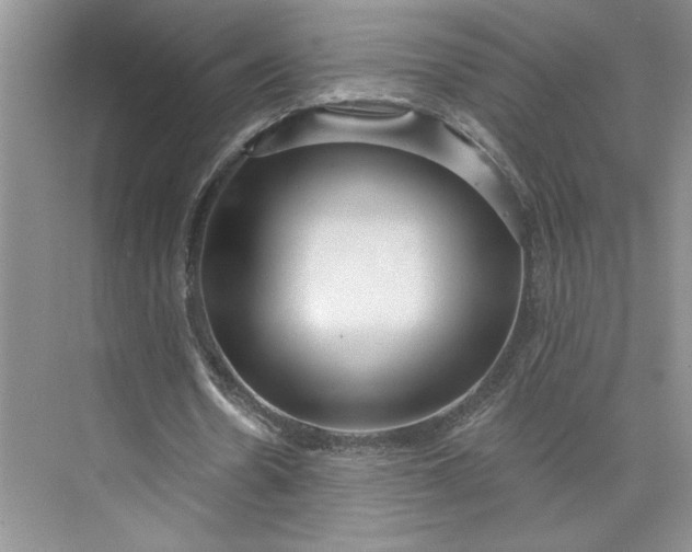 X0000075880530200609291642