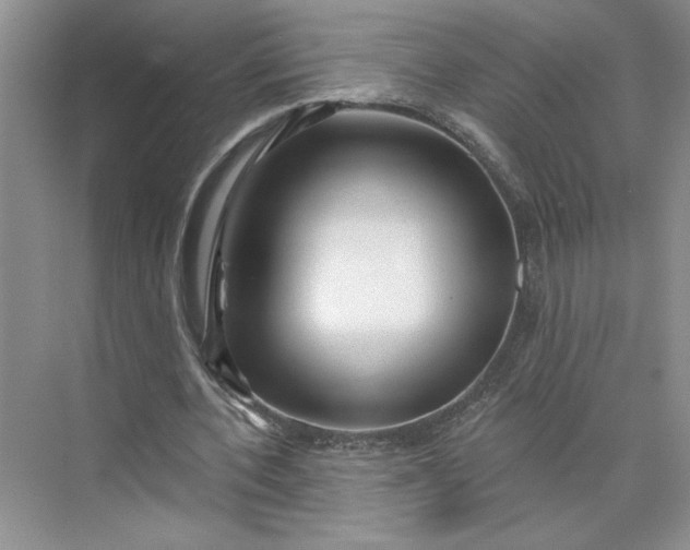 X0000075880532200609291642