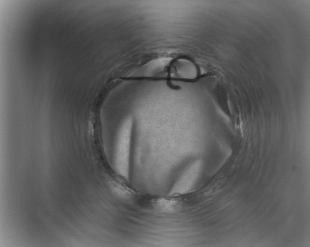 X0000075880570200609291643