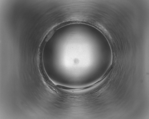 X0000075880580200609291642
