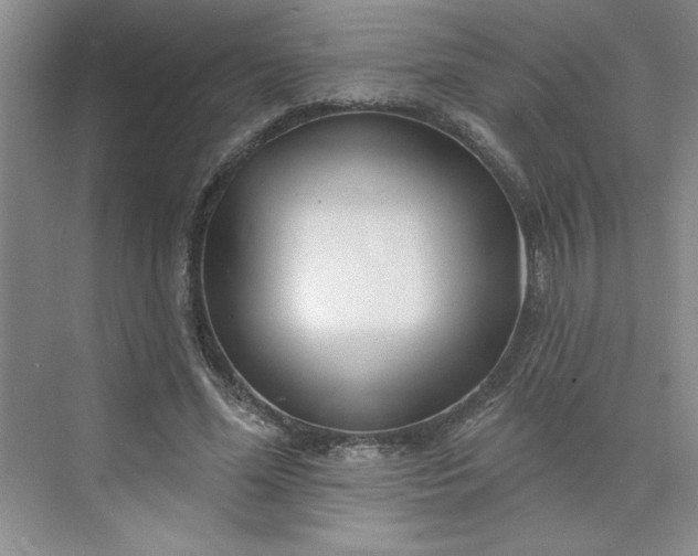 X0000075880588200609291642