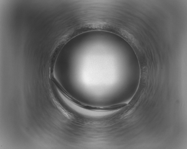 X0000075880589200609291642