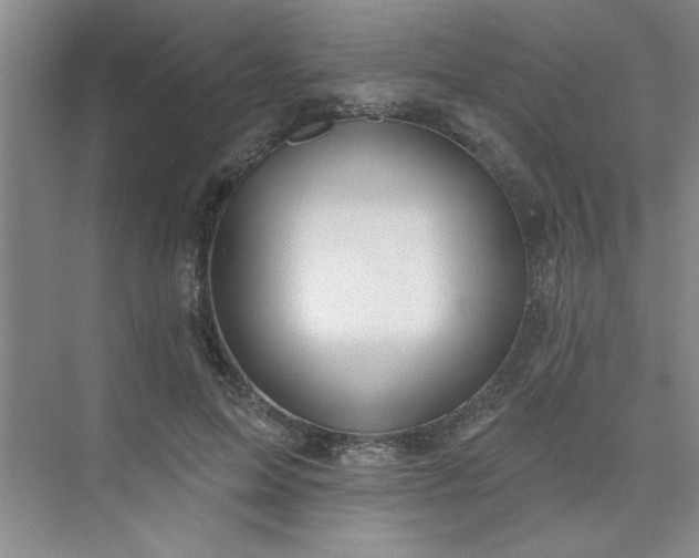 X0000075880599200609291642