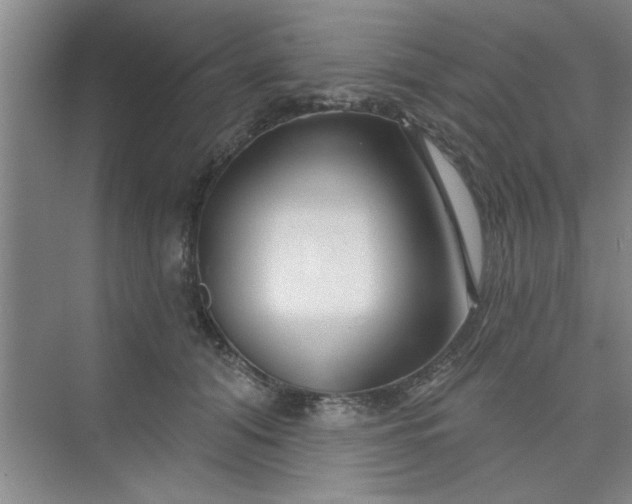 X0000075880608200609291642