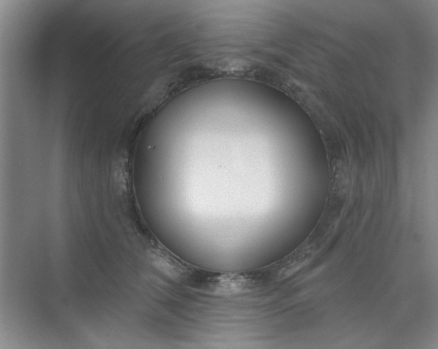 X0000075880612200609291642