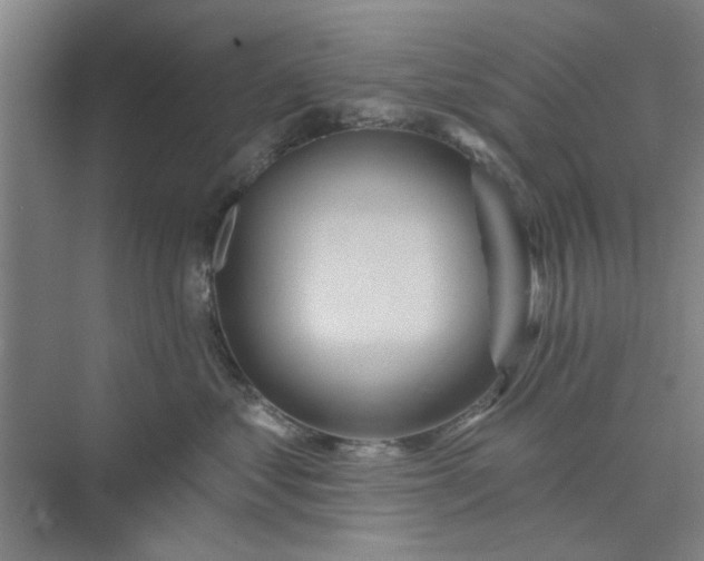 X0000075880621200609291641
