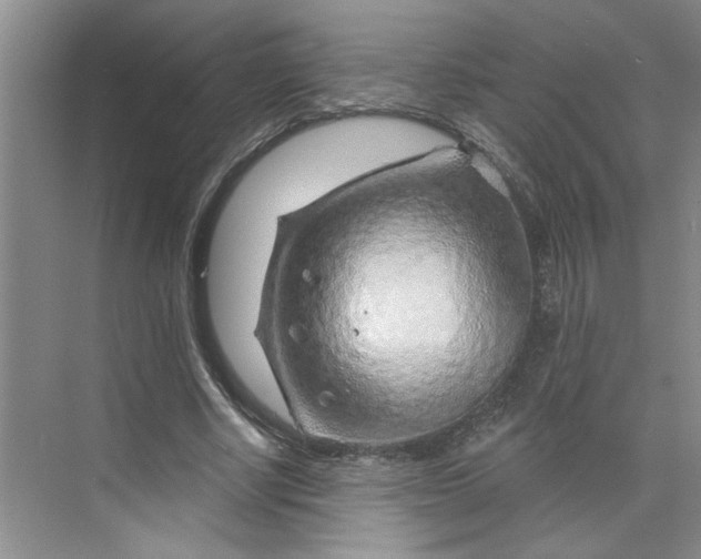 X0000075880634200609291641