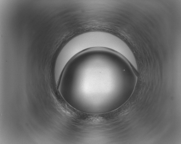 X0000075880642200609291641