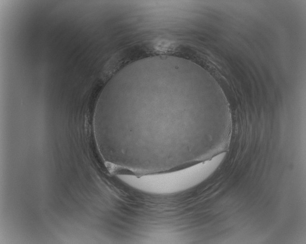 X0000075880651200609291641