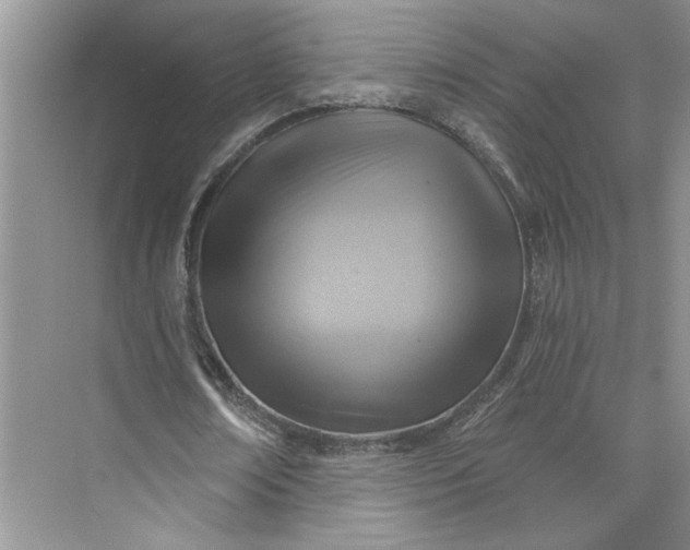 X0000075880674200609291640