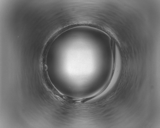 X0000075880676200609291640