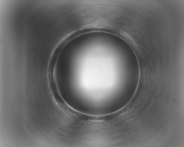 X0000075880680200609291640