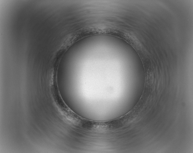 X0000075880694200609291640