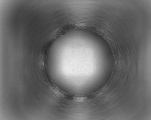 X0000075880710200609291640