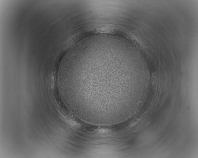 X0000075880741200609291639