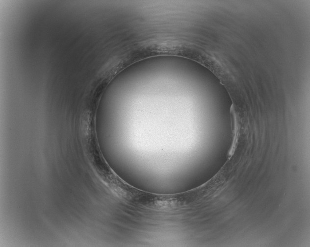 X0000075880744200609291639