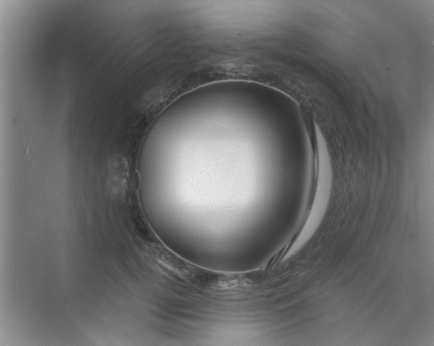 X0000075880752200609291639