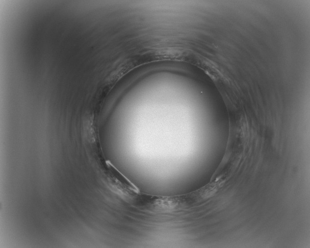 X0000075880764200609291640