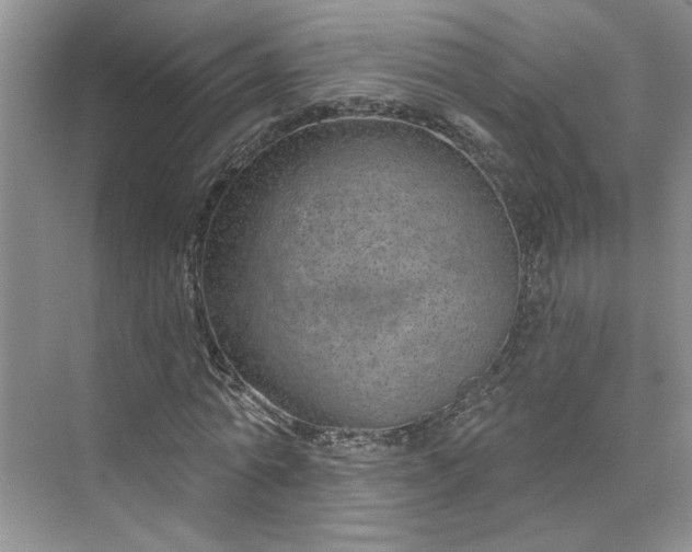 X0000075880774200609291639