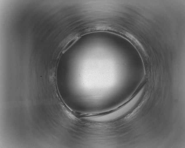 X0000075880801200609291638