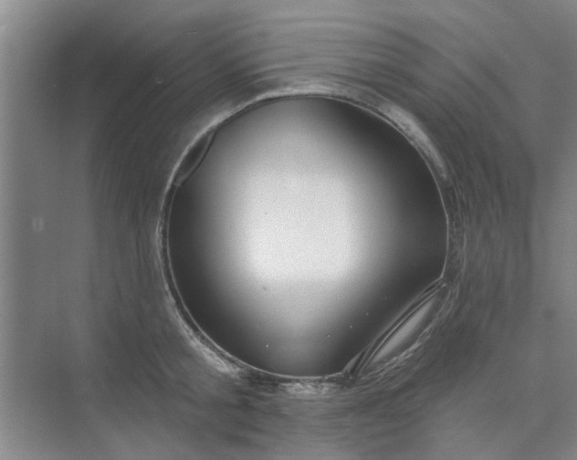 X0000075880805200609291638
