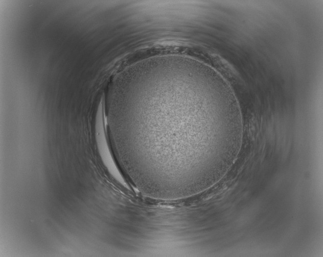 X0000075880821200609291637
