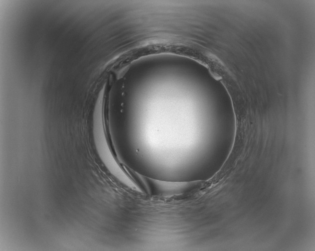 X0000075880822200609291637
