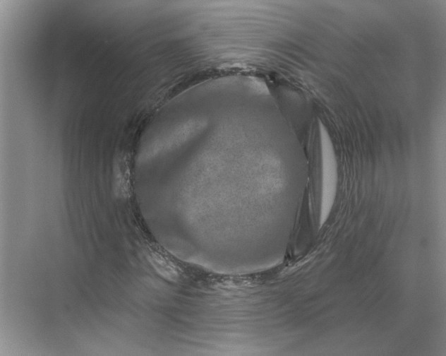 X0000075880868200609291637