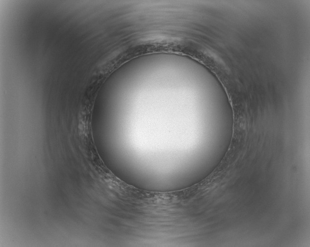 X0000075880869200609291637
