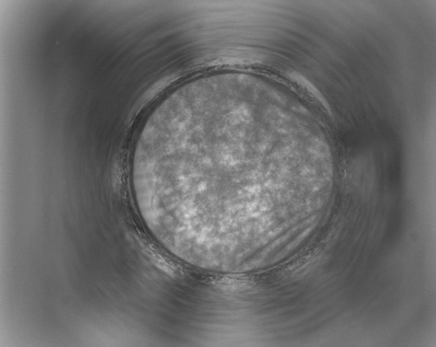 X0000075880874200609291637
