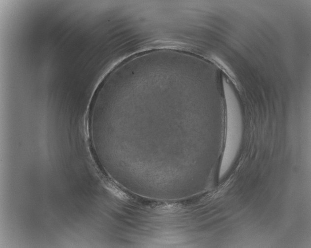 X0000075880891200609291637