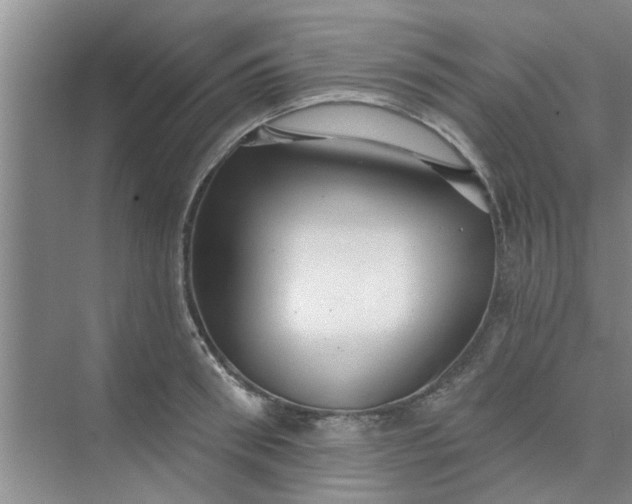 X0000075880898200609291637