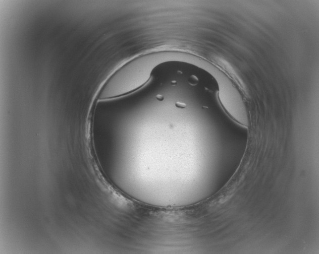 X0000075880900200609291637