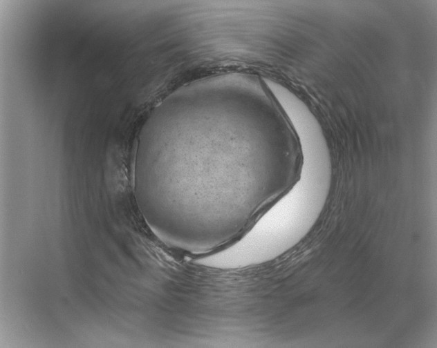 X0000075880916200609291636