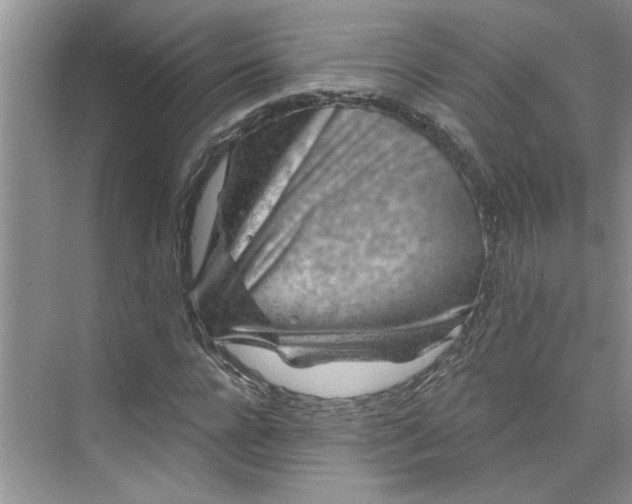 X0000075880920200609291636