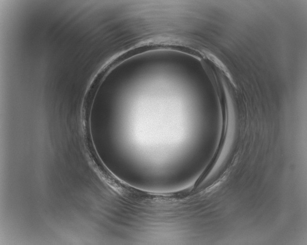 X0000075880981200609291635