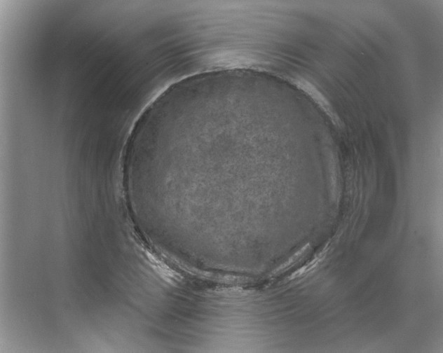 X0000075881023200609291634