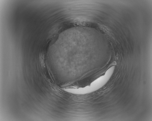 X0000075881060200609291634